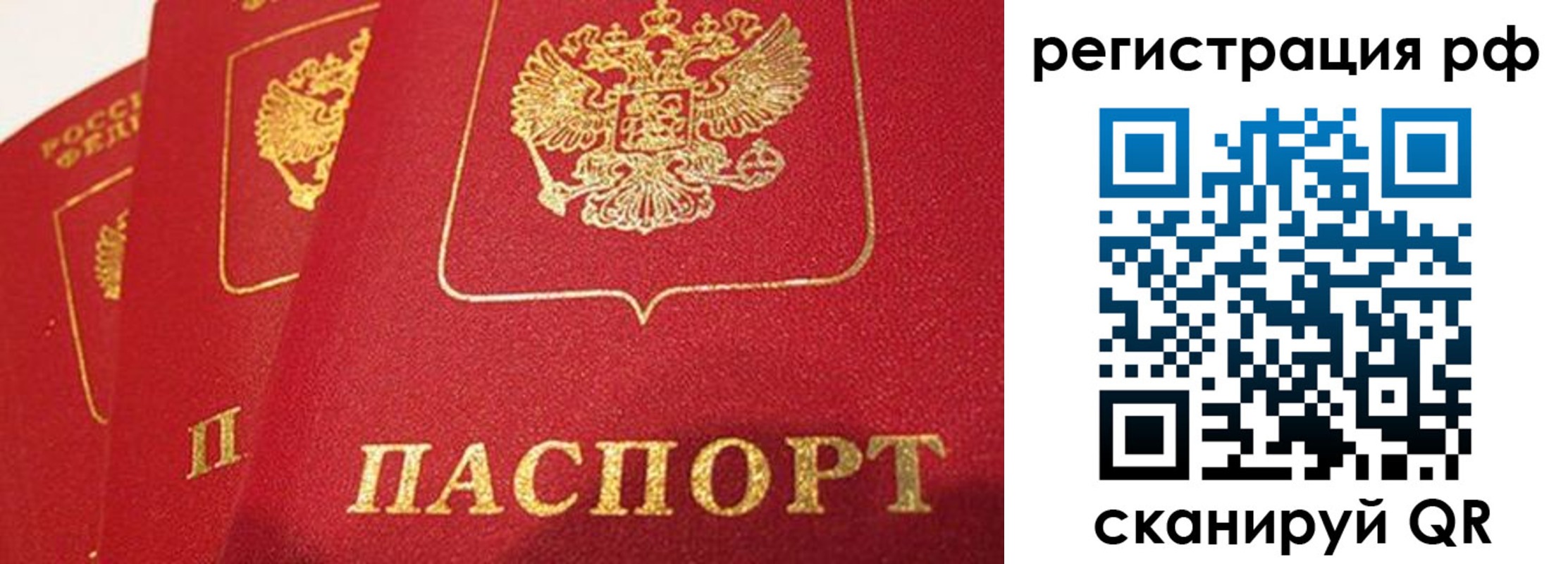 прописка поиск в Солнечногорске
